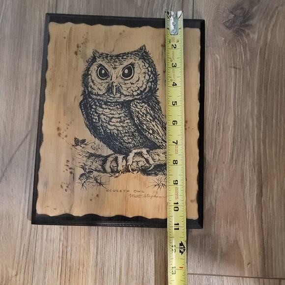 Screech Owl Wood Art Wall Decor Signed 11" Custom Artwork - Picture 8 of 10